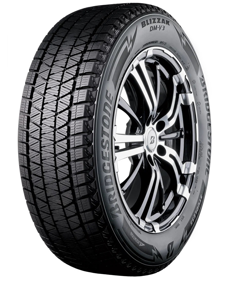 Bridgestone Blizzak DM-V3 255/45 R20 101T